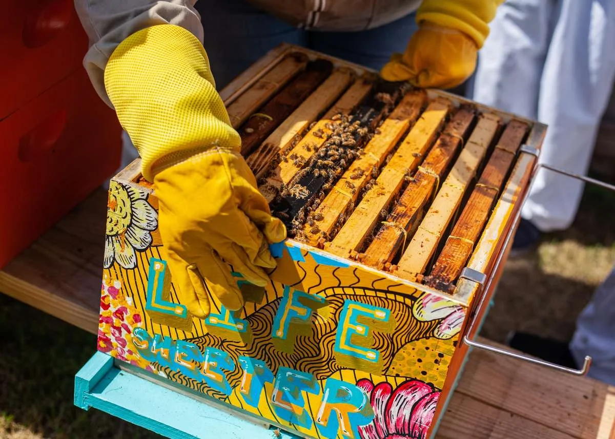 w1200_b557_beeswax-wooden-crate